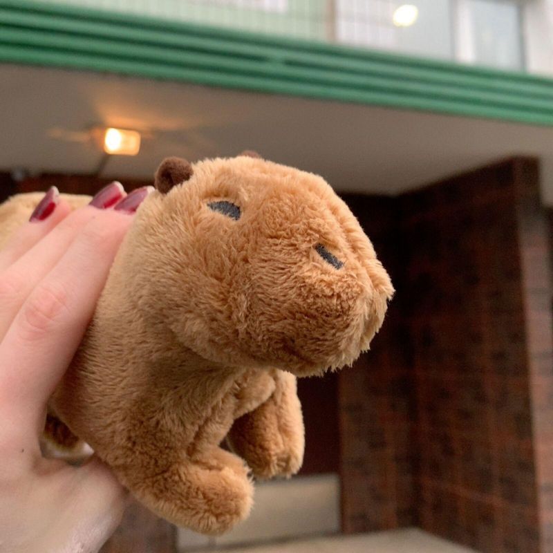 Fluffy Capybara Plush Toy